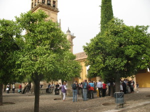 Mezquita de Córdoba