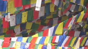 Bilder aus Nepal – Teil 2