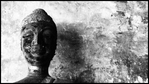 Die 1000 Buddha