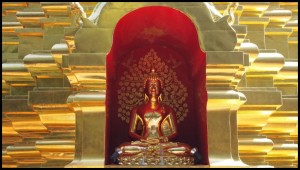 live – noch ein lebenszeichen aus chiang mai