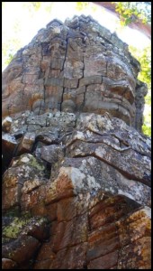 Ta Prohm