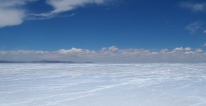 Salzsee, Flamingos und die Wüste!