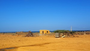 Live – Im Land der Wayuu