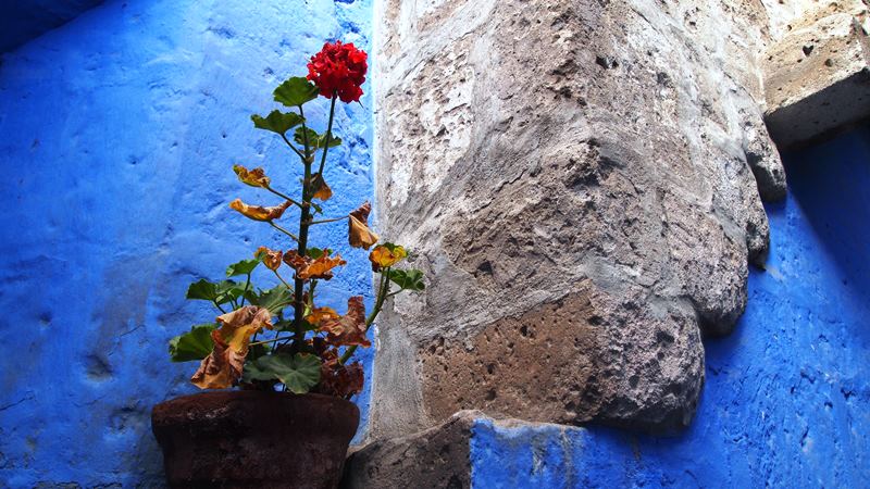 2014_03_12_Arequipa_12